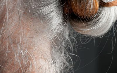 # 10 Silbergrau  das bin ich – Anne