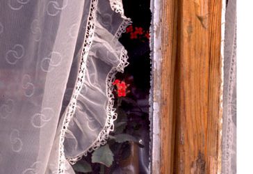 Valentines Day – Lebenserwartung