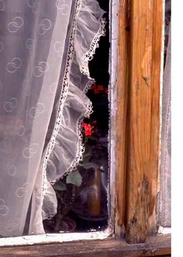 Valentines Day – Lebenserwartung