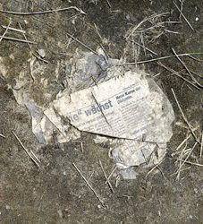 Der Rock, der geblieben ist – Transformation