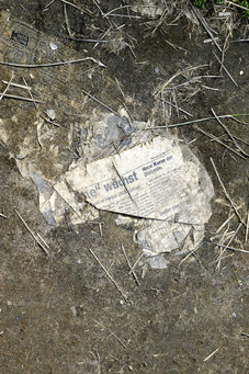 Der Rock, der geblieben ist – Transformation