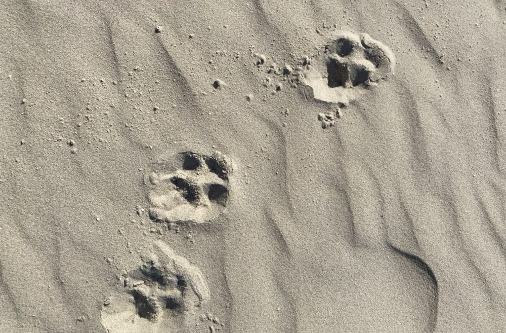 Embodiment und die veränderte Sicht auf mein Leben und die Fotografie