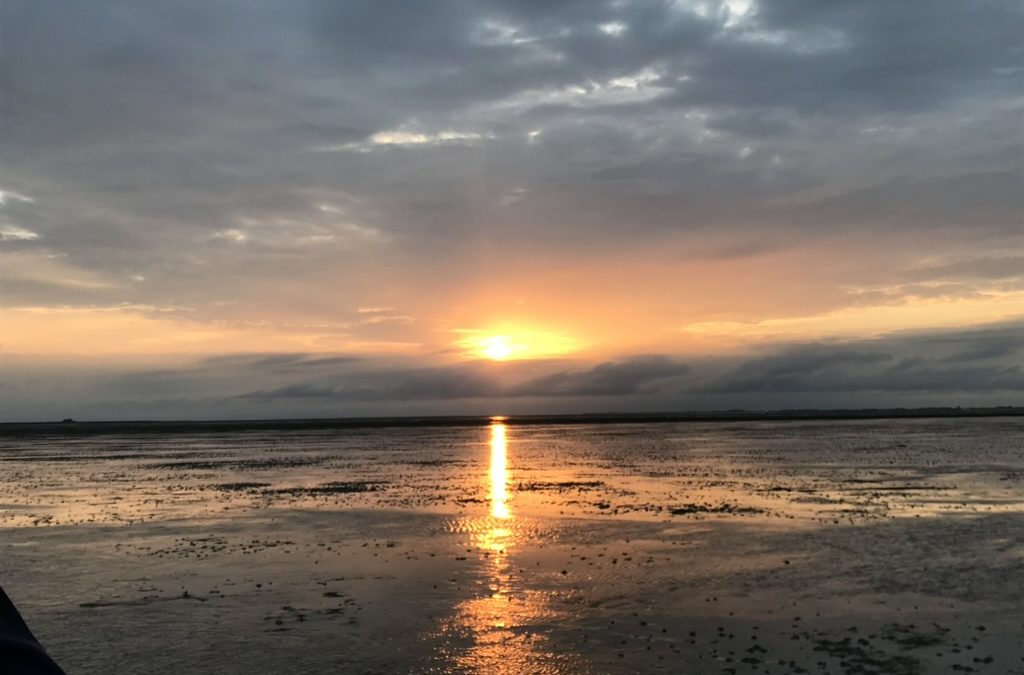 Nicht die Sonne da draußen – sondern die in mir