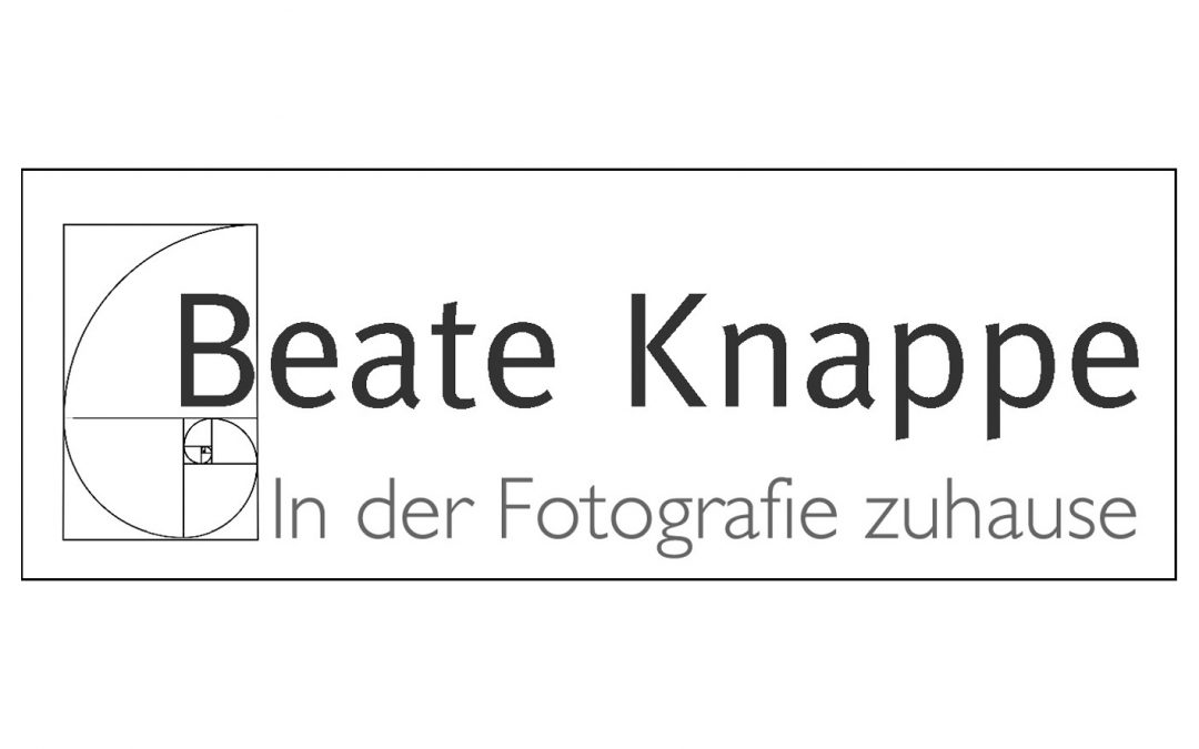 Demokratisierung oder Professionalisierung?