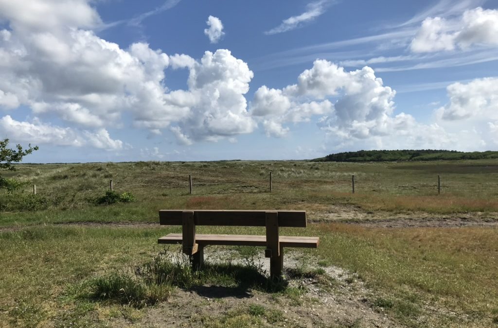 Ein Popsong als Morgenbotschaft