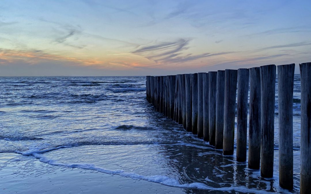 Wissen, das krank macht