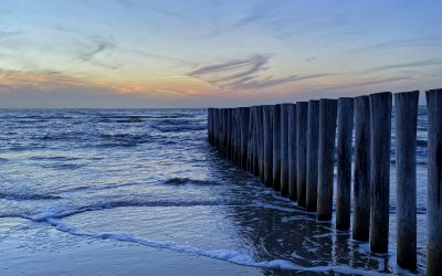 Wissen, das krank macht